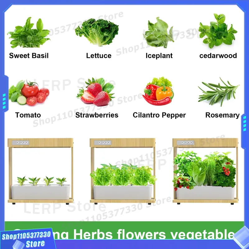 Kit de jardin hydroponique int - Indoor Herb Garden Grow Light Smart Kit avis et prix