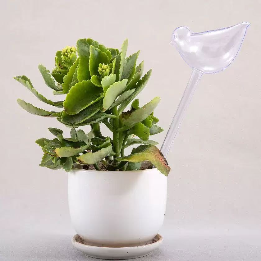 Arroseur automatique pour plan - Automatic Plant Watering Spikes Drip Kit avis et prix