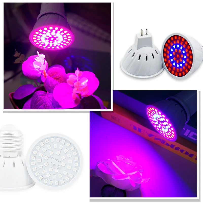 Phyto lampe LED à spectre comp - Plant Grow Light Full Spectrum Clip On avis et prix