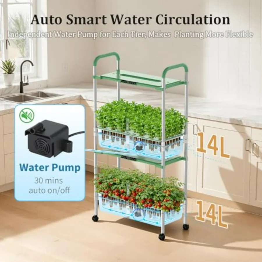 Kit de culture hydroponique po - Indoor Herb Garden Grow Light Smart Kit avis et prix