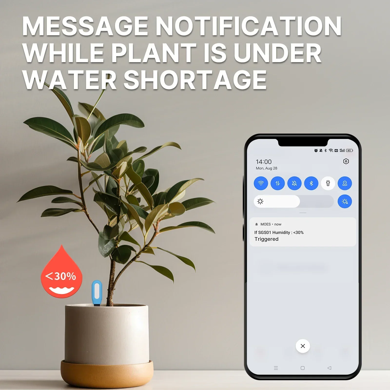 MOES – compteur intelligent de - Smart Plant Sensor Soil Moisture Meter avis et prix