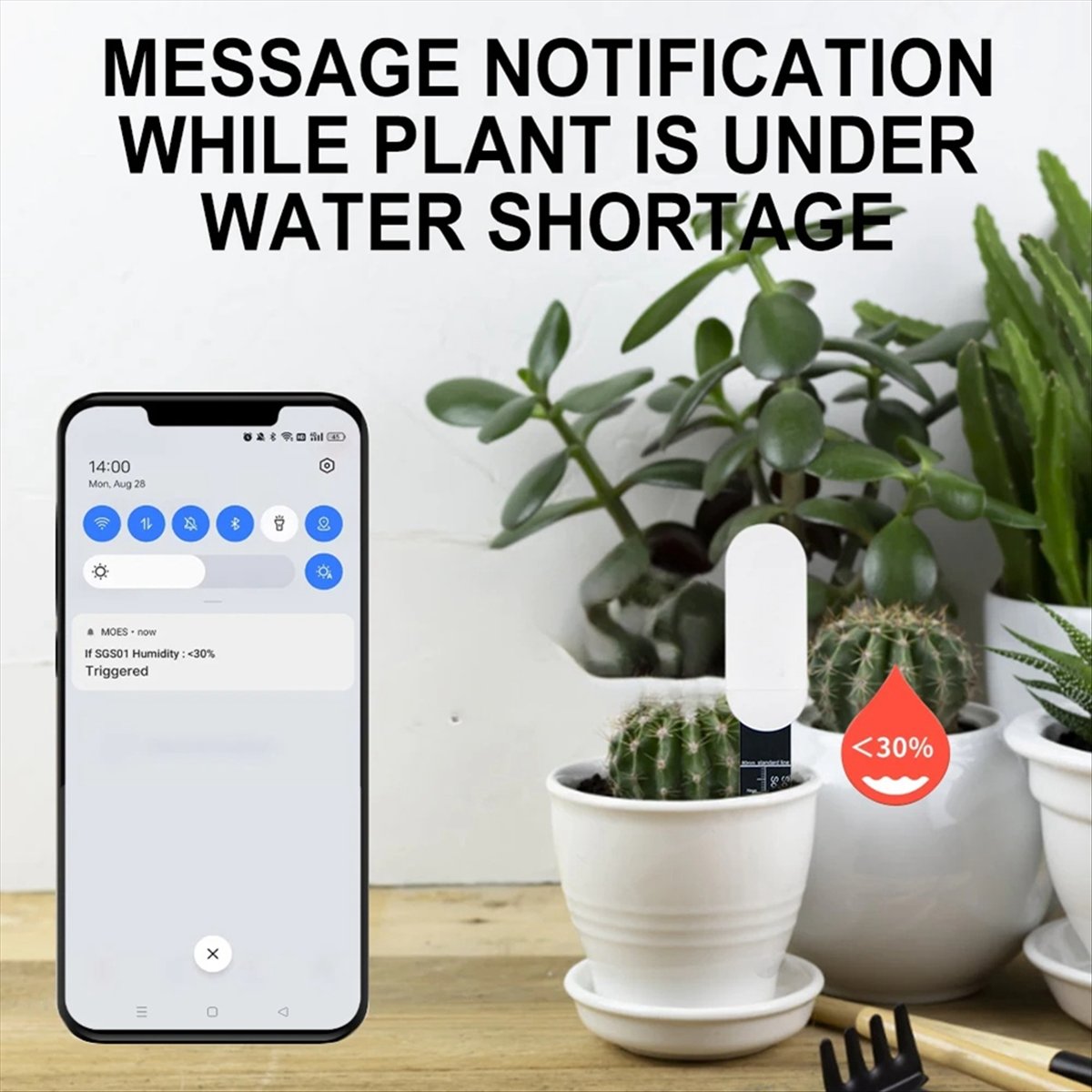 Testeur intelligent de sol Zig - Smart Plant Sensor Soil Moisture Meter avis et prix