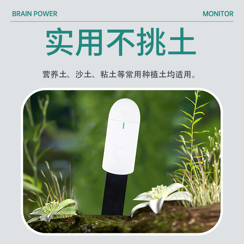 Testeur d'humidité intelligent - Smart Plant Sensor Soil Moisture Meter avis et prix